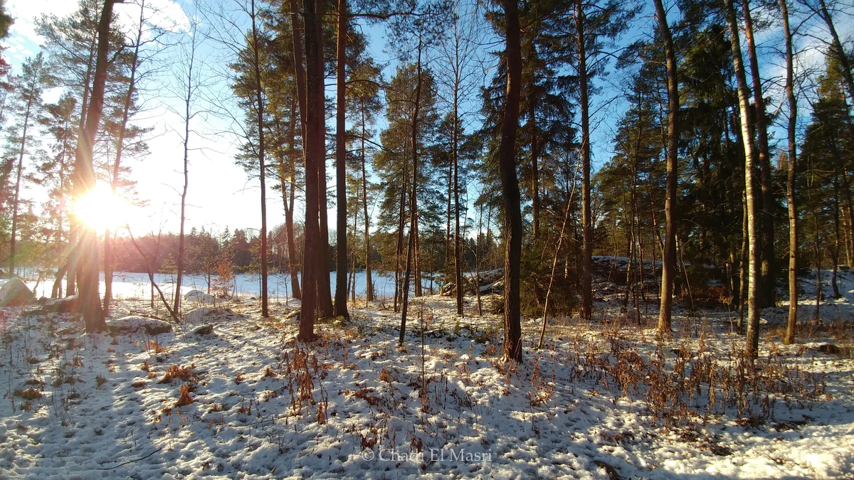 Photo from December 19, 2016